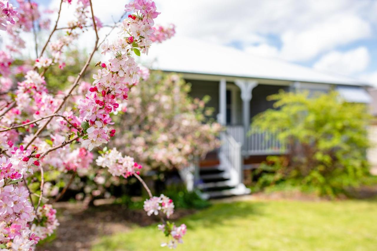 Apple Blossom Cottages Stanthorpe Exterior foto